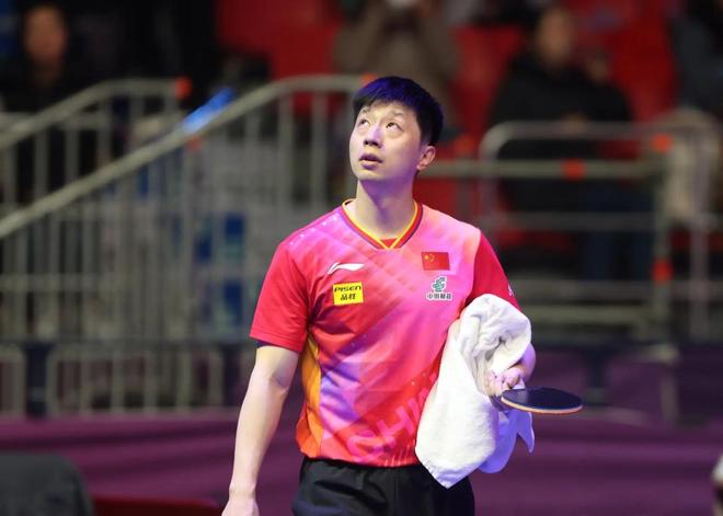 一个全新的 一个全新的