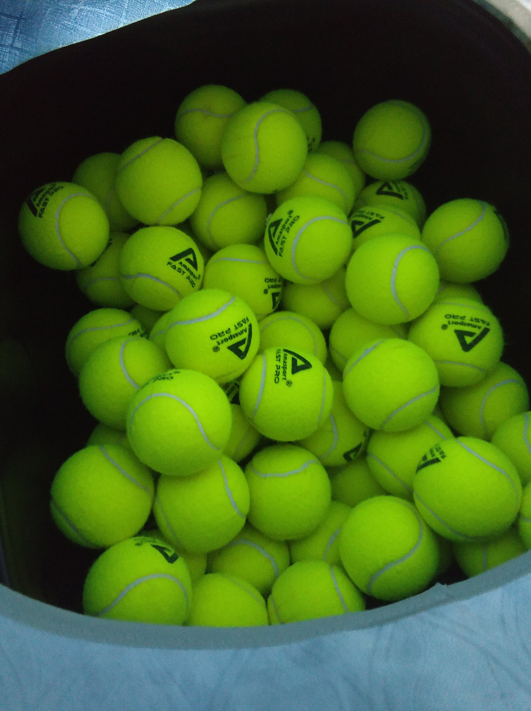 们努力的结 们努力的结